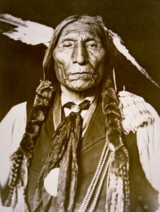 Wolf Robe (b.1841) 1909 by DeLancey W. Gill