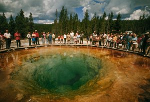 Park visitors gather around blue-green, blossom-shaped thermal pool. Yellowstone National Park