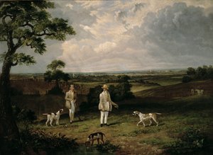 Partridge Shooting