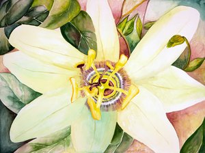 Passionflower, 2007 by Deborah Eve Alastra
