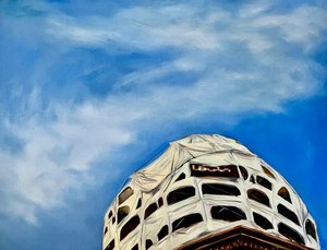 Repairs To The Dome by Deborah Stevenson