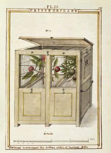 Chest for plant transport, watercolour by Delahaye