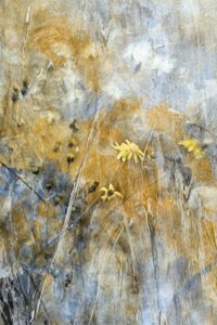 Abstract Meadow Flowers by Delphine Devos