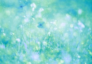Aqua Butterfly Dream by Delphine Devos