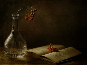 Autumn Berries And Book by Delphine Devos