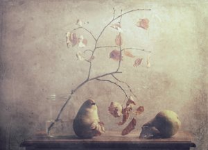Autumn Pear Still Life by Delphine Devos