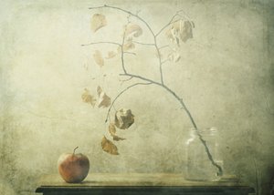 Autumn Still Life by Delphine Devos