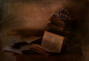 Dark Academia Books by Delphine Devos