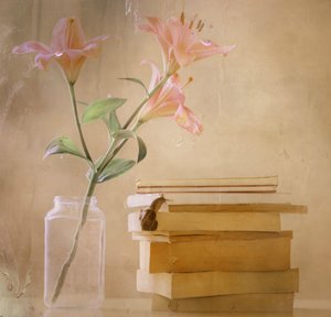 Dreamy Lilies Snail Books by Delphine Devos