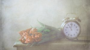 Dreamy Tulips and Time by Delphine Devos