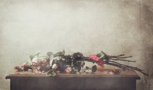 Fading Roses Still Life by Delphine Devos