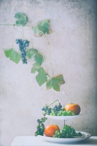 Harvest Fruit Still Life