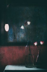 Moody Flowers Still Life by Delphine Devos