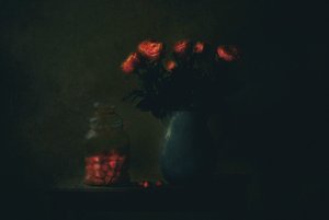 Moody Red Blooms