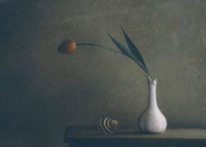 Moody Tulip Still Life