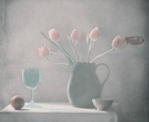 Pastel Tulips Still Life