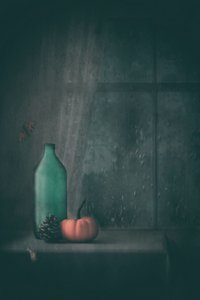 Rainy Autumn Still Life by Delphine Devos