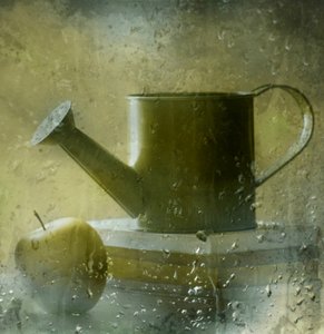 Rainy Window Still Life by Delphine Devos