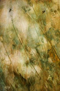 Rustic Lavender Field by Delphine Devos