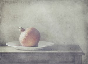 Rustic Squash Still Life by Delphine Devos