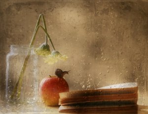 Snail on Apple Rainy Day by Delphine Devos