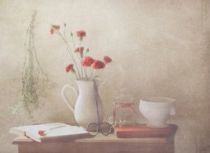Soft Carnations Still Life by Delphine Devos