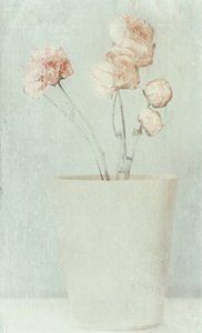 Soft Faded Flowers