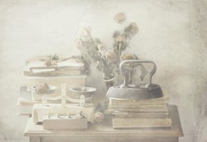 Soft Faded Still Life by Delphine Devos