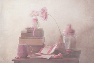 Sweet Pink Comfort