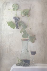 Vintage Grapes Wine Still Life