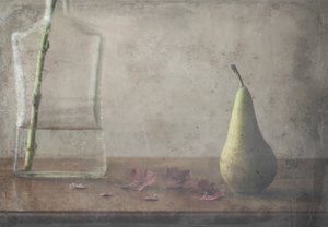 Vintage Pear Still Life by Delphine Devos