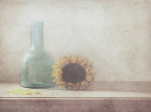 Vintage Sunflower Still Life by Delphine Devos