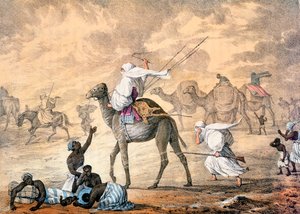 A Sand Wind on the Desert