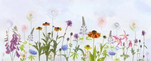 Dreamy Colorful Garden by Denis O Reilly