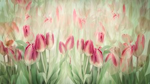 Dreamy Pink Tulips by Denis O Reilly