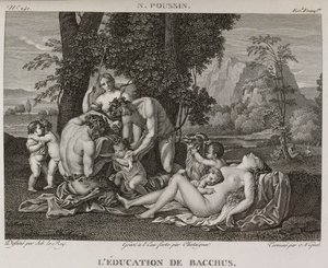 The Education of Bacchus