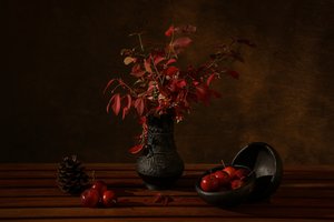 Dark Autumn Still Life