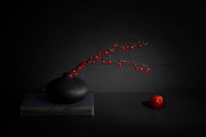 Red Berries Black Vase Still Life