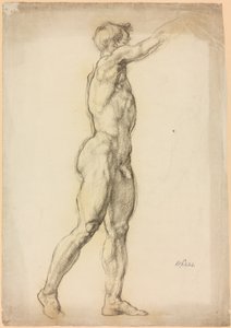 A Study of a Male Figure