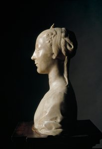 Bust of young lady