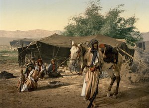 Bedouins and their Tents, Holy Land