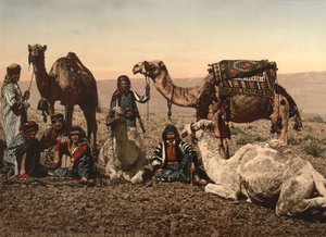 Camels Halting in the Desert, Holy Land, c.1890 by Detroit Photographic Co.