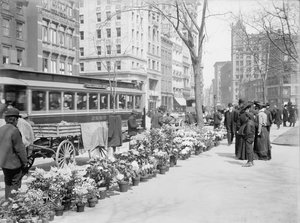 Flower Vendors, Easter Display, New York City, USA, c.1904