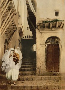Street of the camels, Algiers, c.1899 by Detroit Publishing Co.