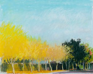 Sunny Side, 2015