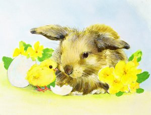 Easter Bunny with Primrose and Chick