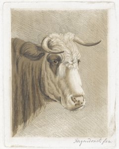 Koekop by Diederik Jan Singendonck (signed by artist)