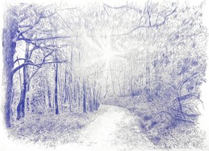 Forest in Backlight, 2023