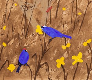 Primary Colours (Diadem Tanagers & Ceibo Tree)