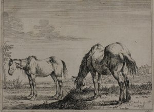 Grazing Horse, plate three from Series of Horses